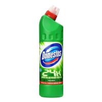 Domestos 24h Plus Pine Fresh