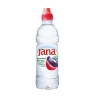 Jana Boronicë Brusnicë 0.5l