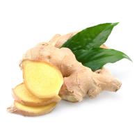 Xhenxhefil